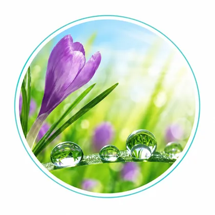 Kevadine lõhn – Biokat’s Bianco Fine Fresh Aloe