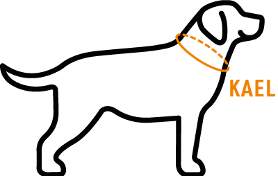 Koera kaelarihmade suurused Explore Collar