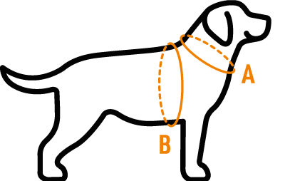 Koera trakside suurused Dogness Harness